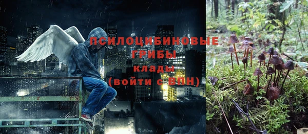 apvp Алексеевка