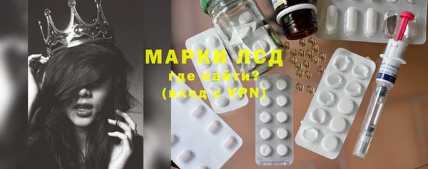 хмурый Алзамай