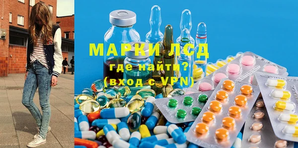 хмурый Алзамай